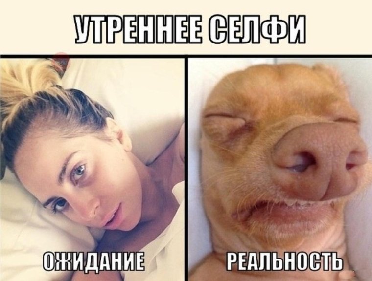 Селфи ожидание и реальность