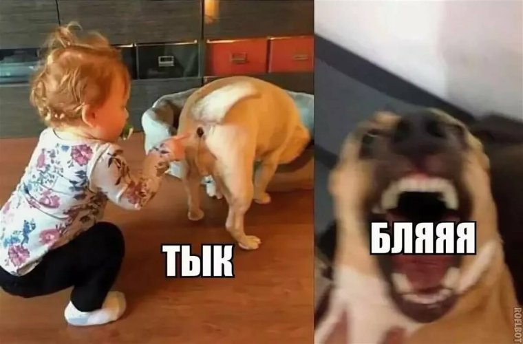 Смешно до слёз