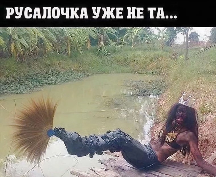 Русалка юмор