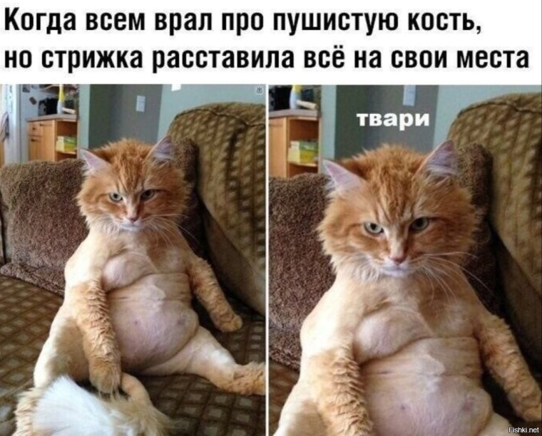 Юмор в картинках с надписями