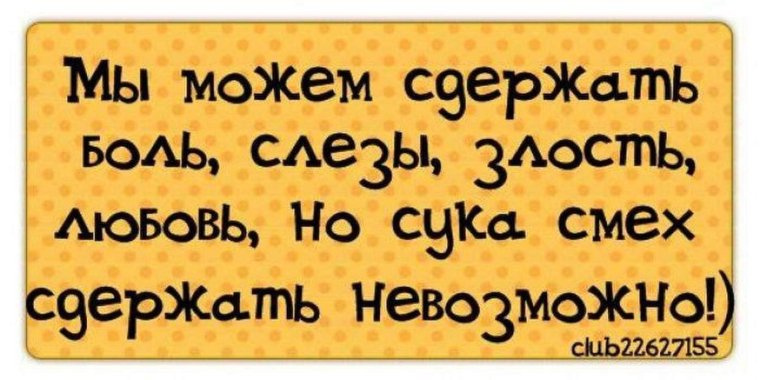 Прикольные статусы