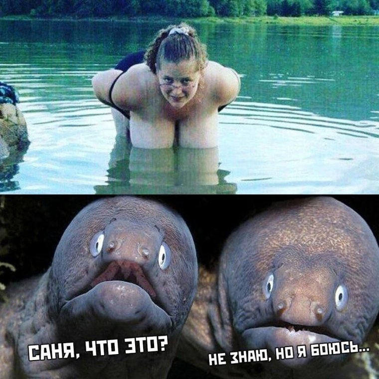 Приколы ржач