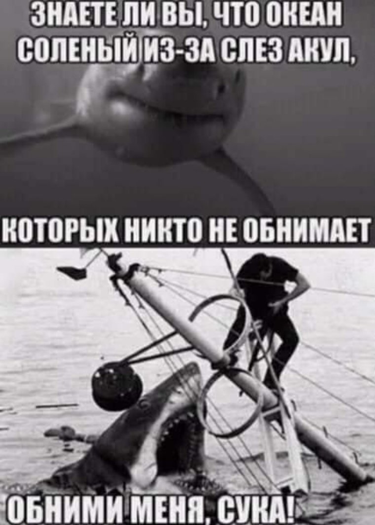 Шутки про акул
