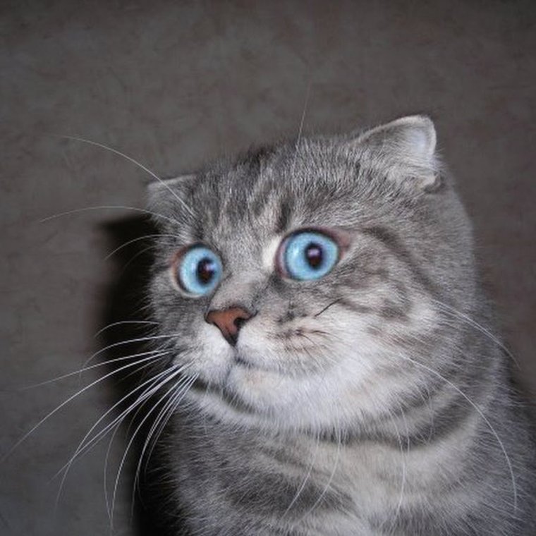 Поздравление Николаю