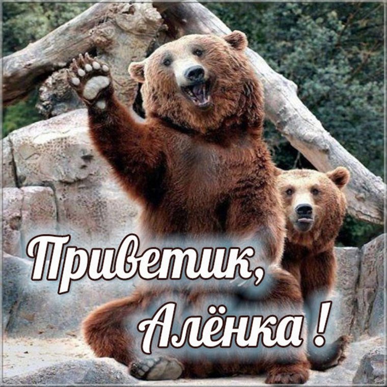 Смешные рифмы к имени Дима