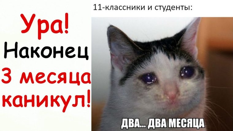 Каникулы 3 месяца