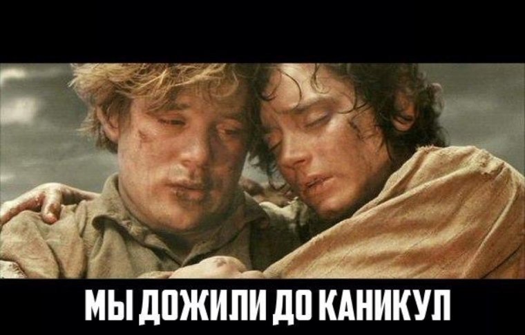 Фродо и Сэм Мем