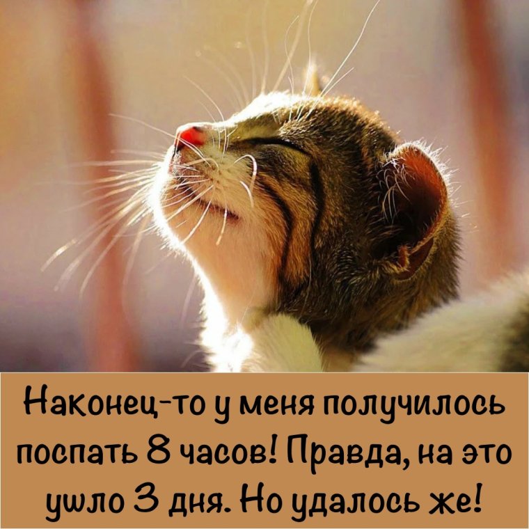 Каникулы прикол