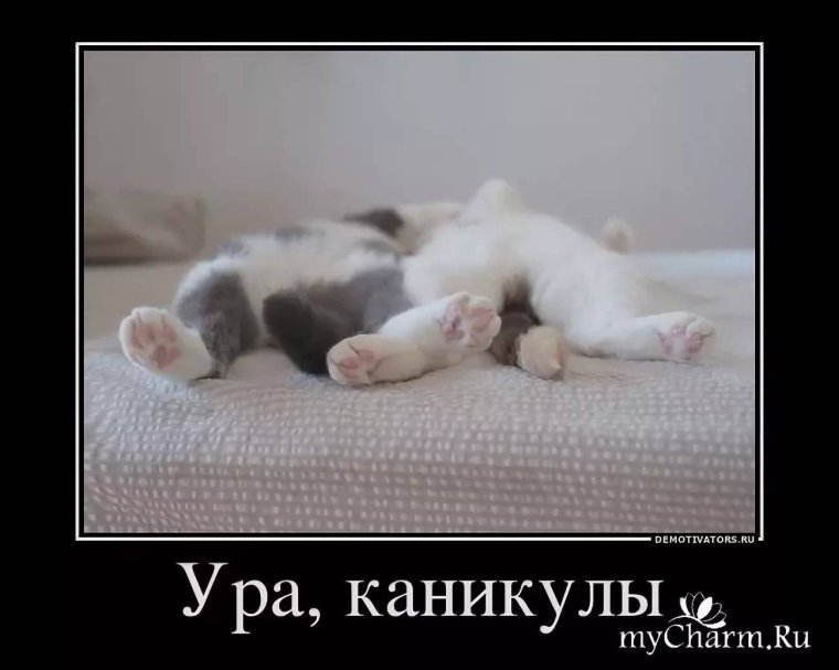 Ура пятница