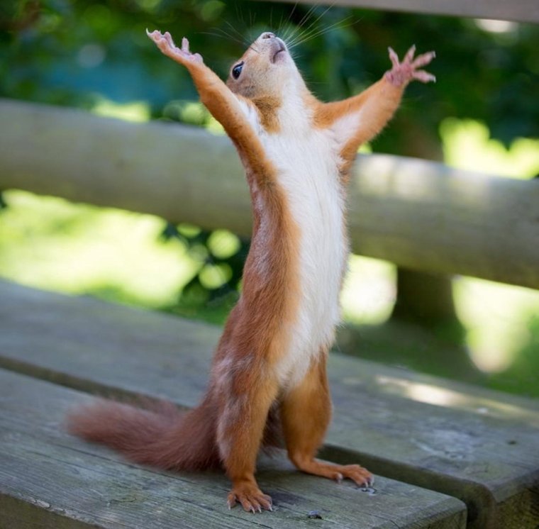 С днем рождения Наташа при