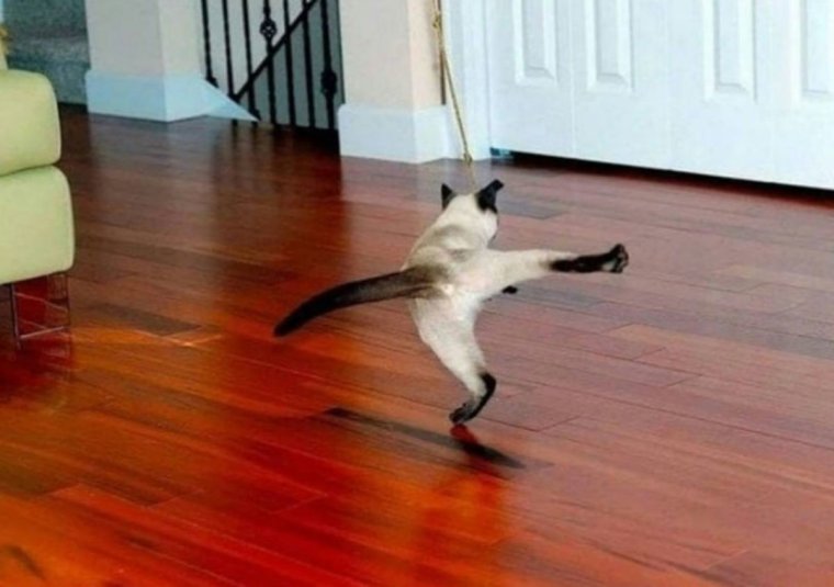 Ура каникулы