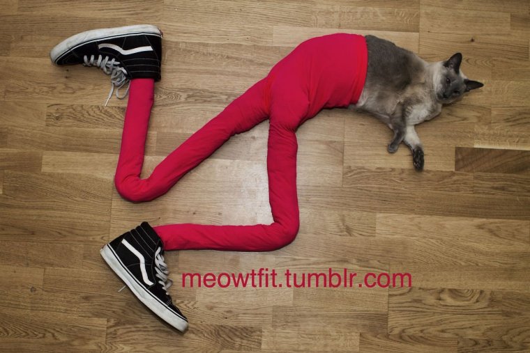 Прикольное фото в трусах