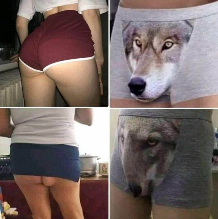 Мужские трусы на веревке