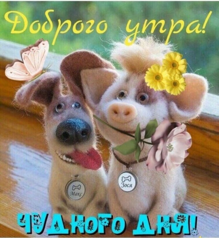 Открытки улыбнись