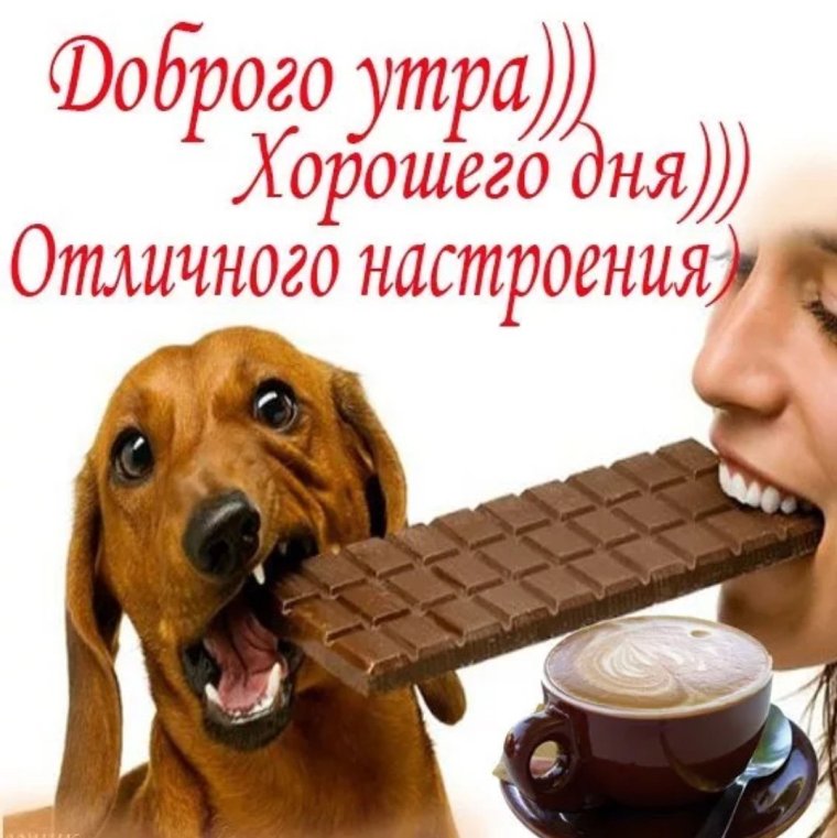 Радостного утра