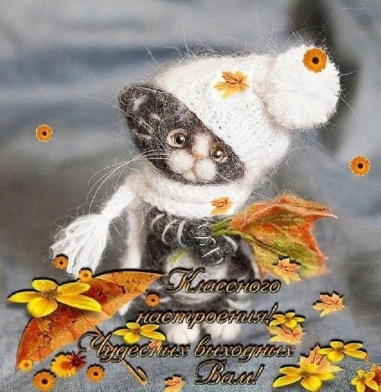 Одуванчик улыбается