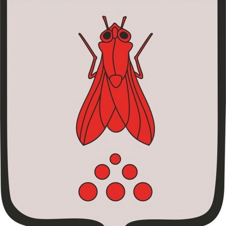 Герб города Мухосранск