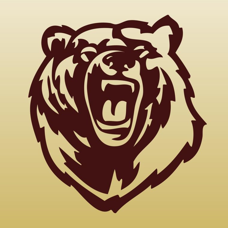 Голова медведя