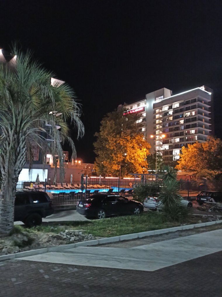 Абхазия Сухум зима