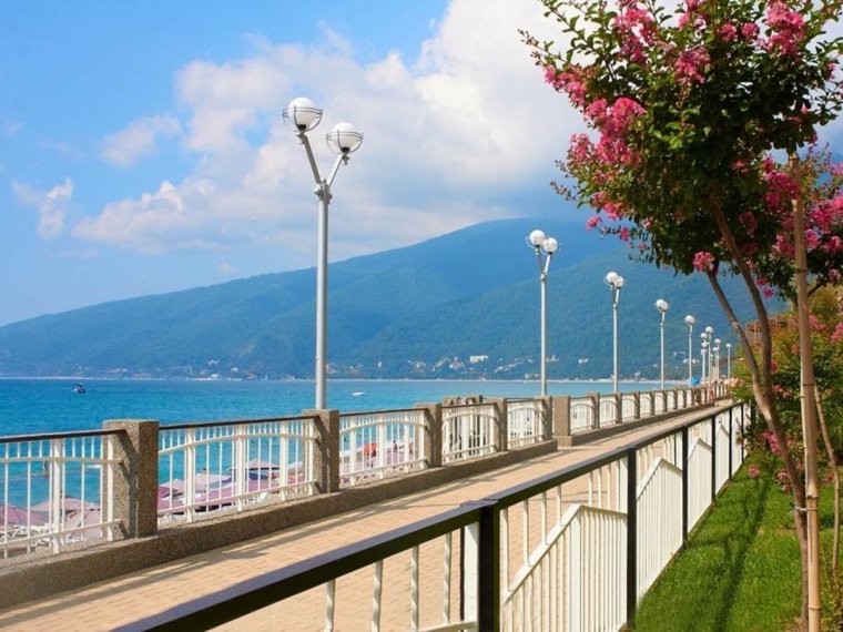 Абхазия природа достопримечательности