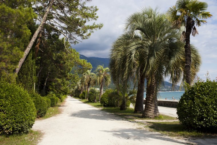 Набережная Гагра Абхазия