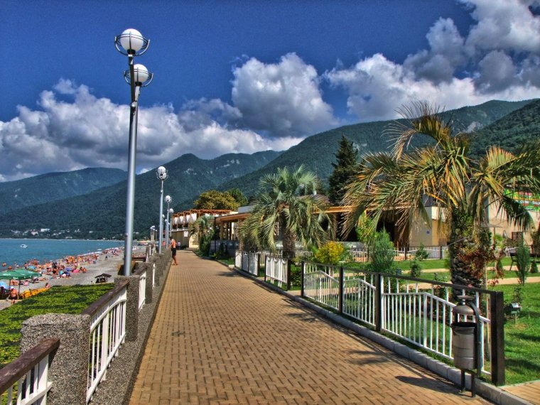 Дендропарк в Гаграх Абхазия