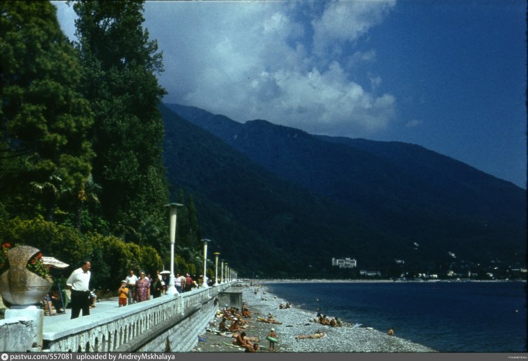 Усачев Сочи свадьба