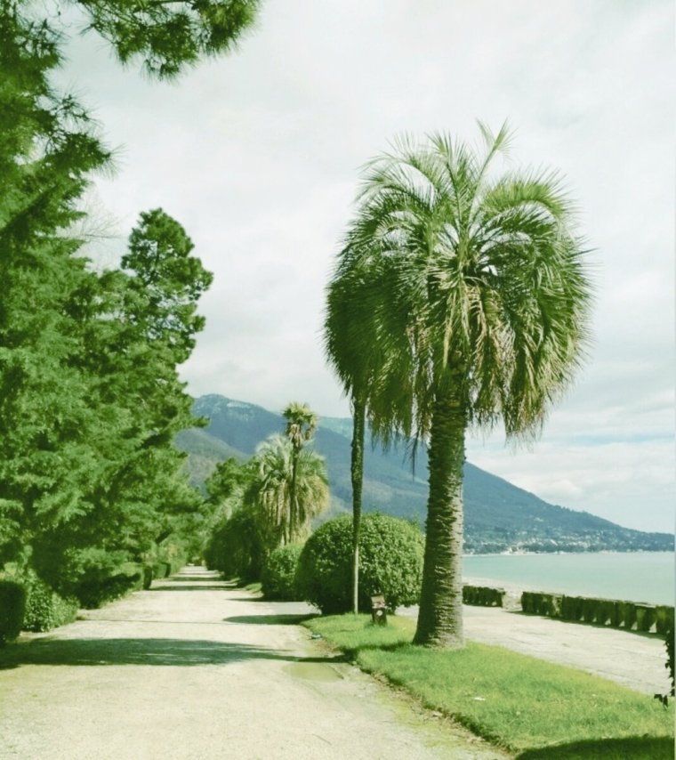 Дорога Гагра Сухум