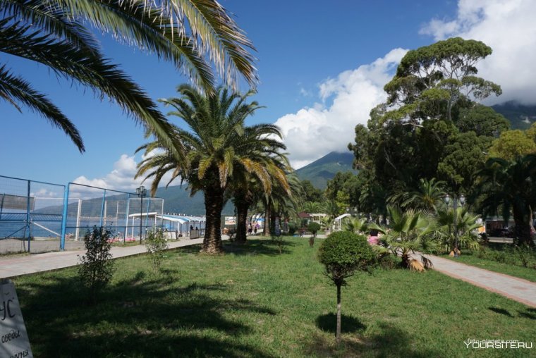 Набережная параллель Гагра