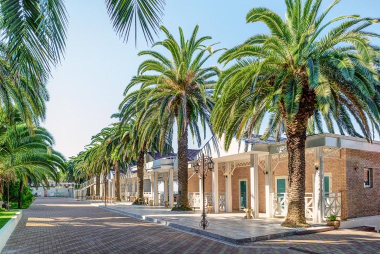 Леселидзе Абхазия