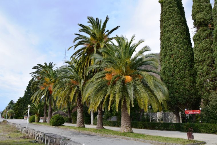 Колоннада Гагра Абхазия пляж