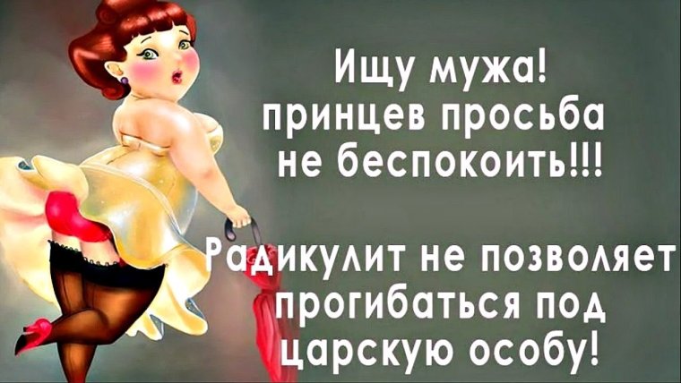 Ищу мужа юмор