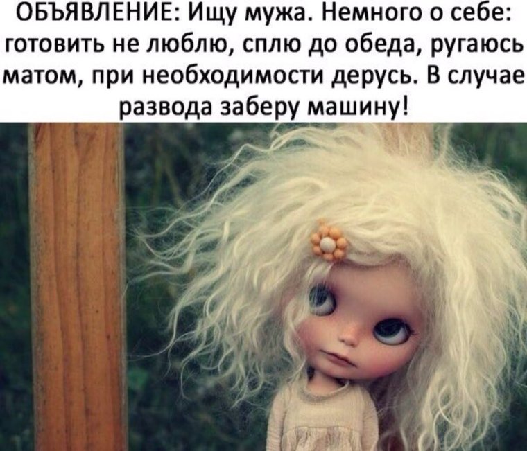 Объявление ищу мужа, немного о себе люблю собирать грибы