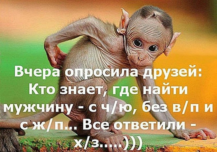 Ищу мужчину юмор