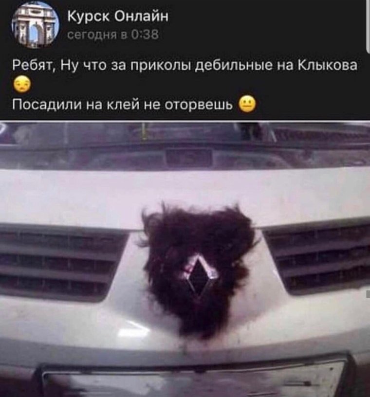 Царя зверей и елку не ремонтируем