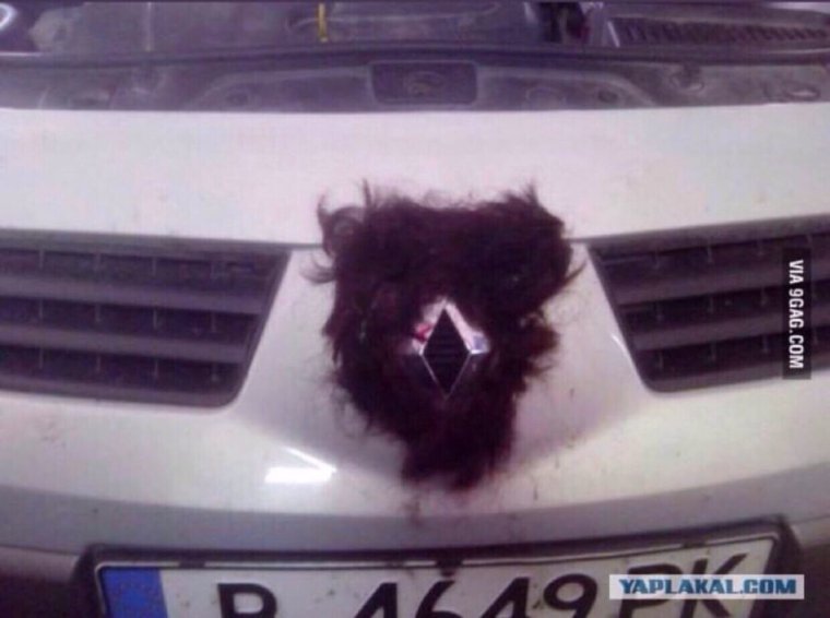 Рено прикол