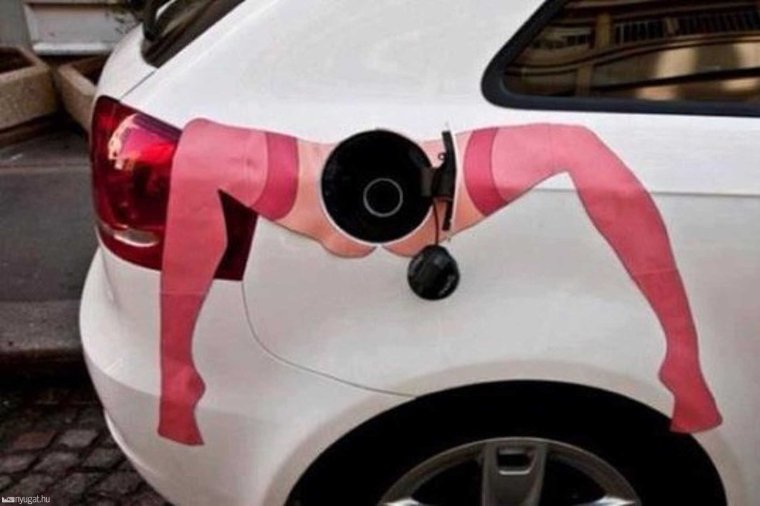 Знак Рено с волосами прикол