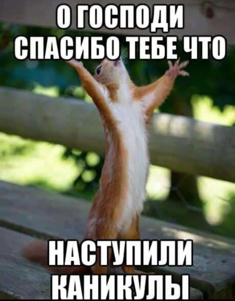 Ура скоро каникулы