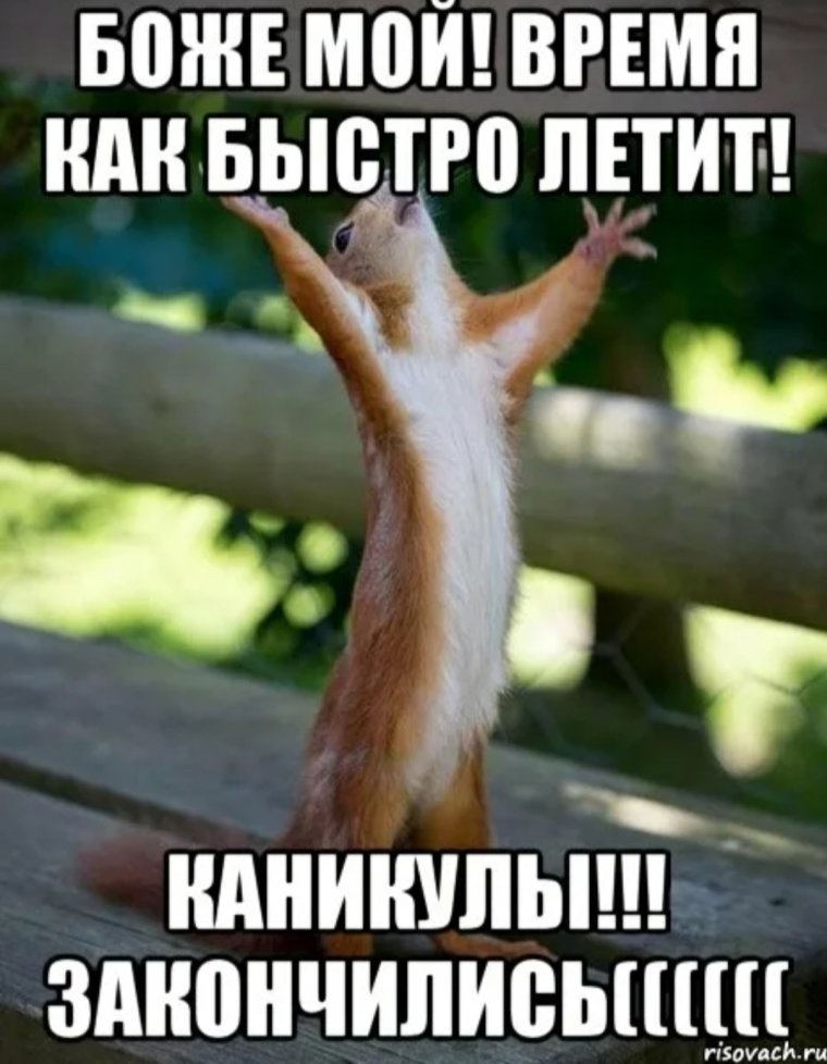 Дети на каникулах в деревне