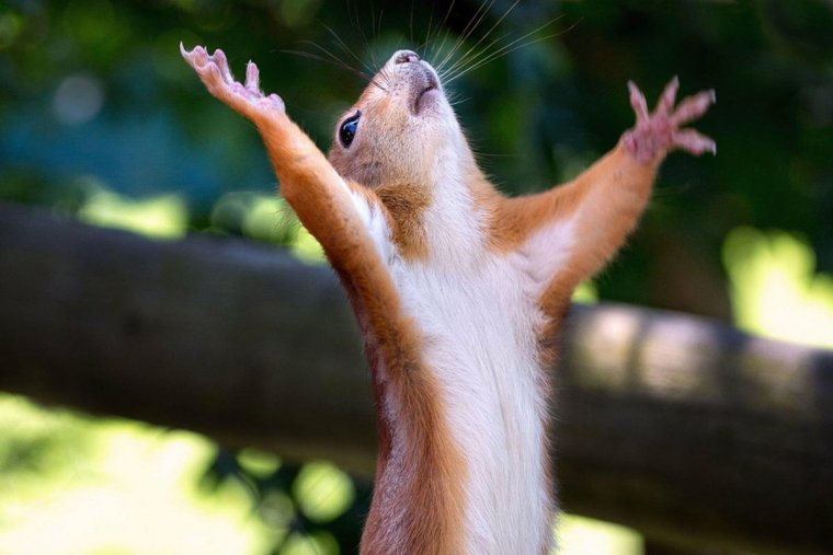 Новогодний Снеговик