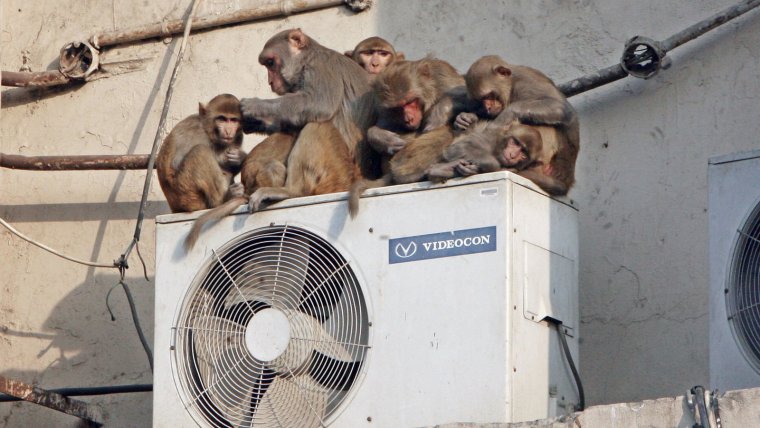 Кондиционер прикол