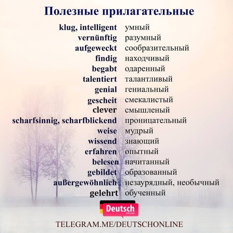 Немецкие прилагательные характеризующие человека