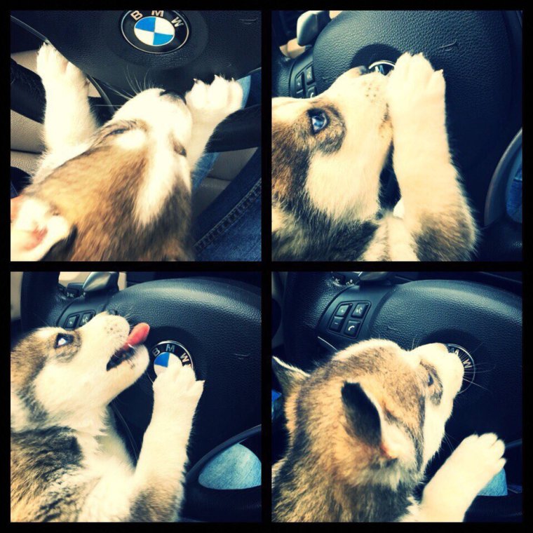 Прикольные фото БМВ