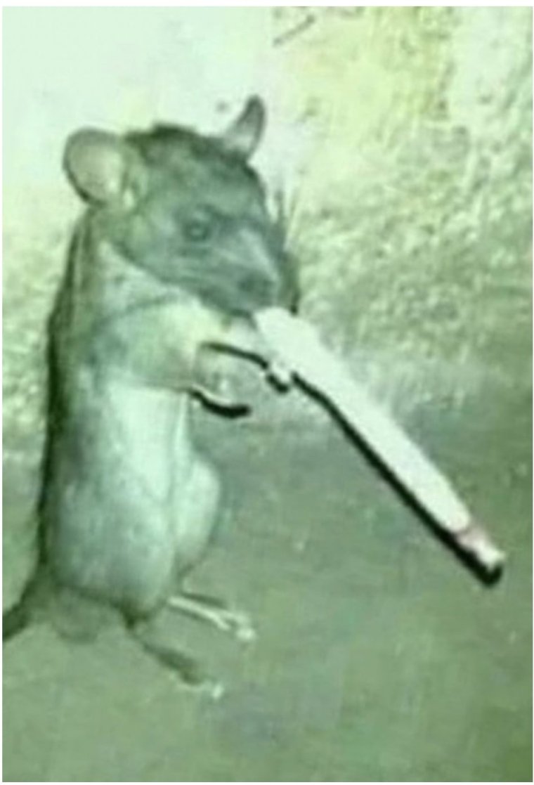 Курить Крис