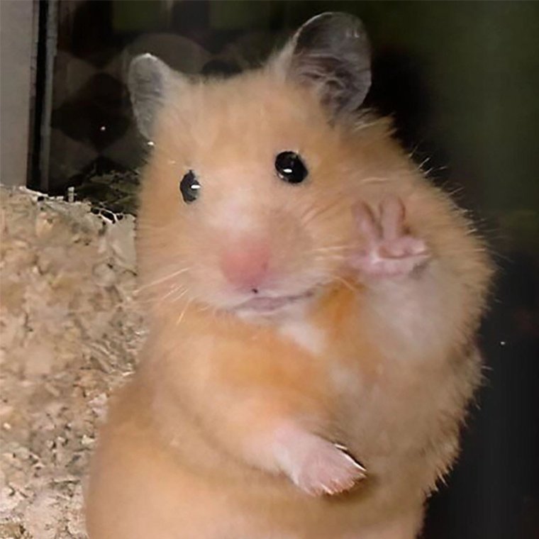 Лучшие подруги нарисованные