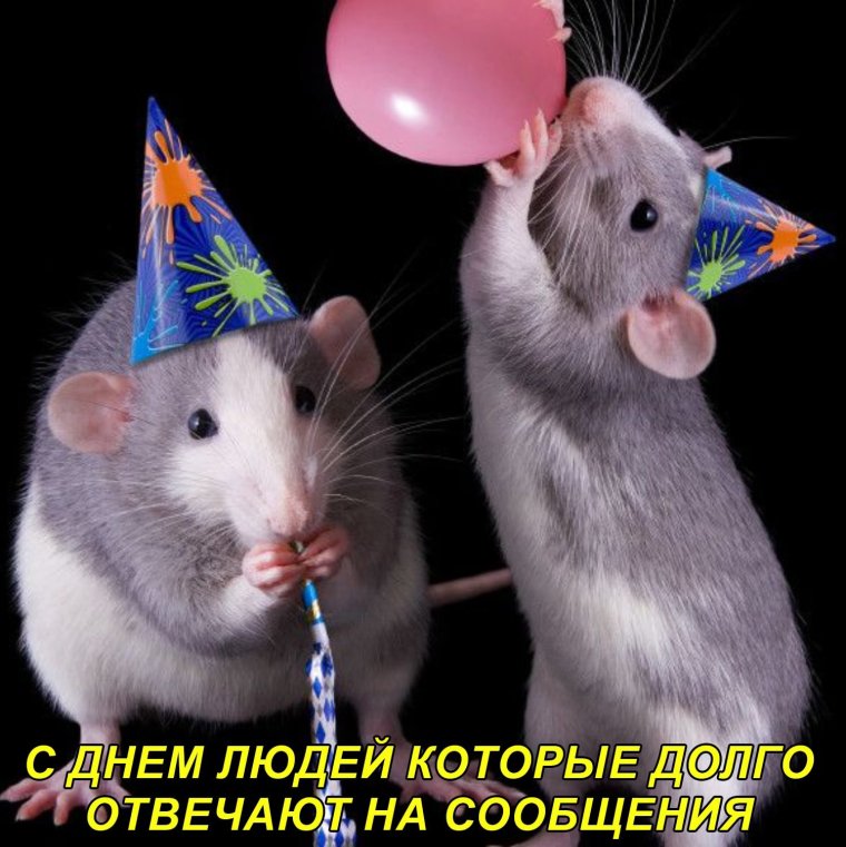 Праздничная мышь