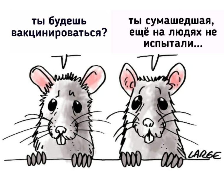 Хомяк курит