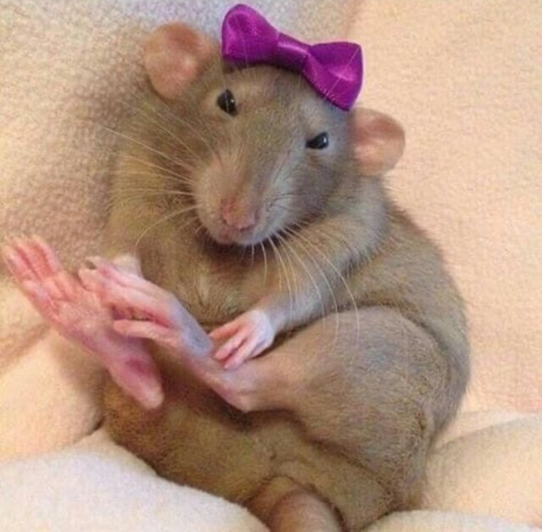 Прикольные аватарки