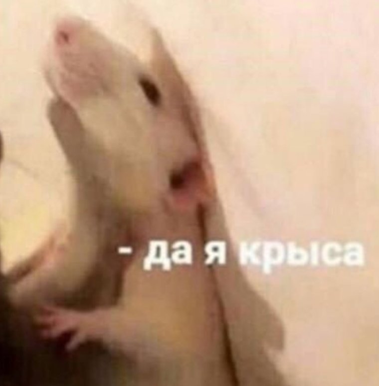 Мышь в руке