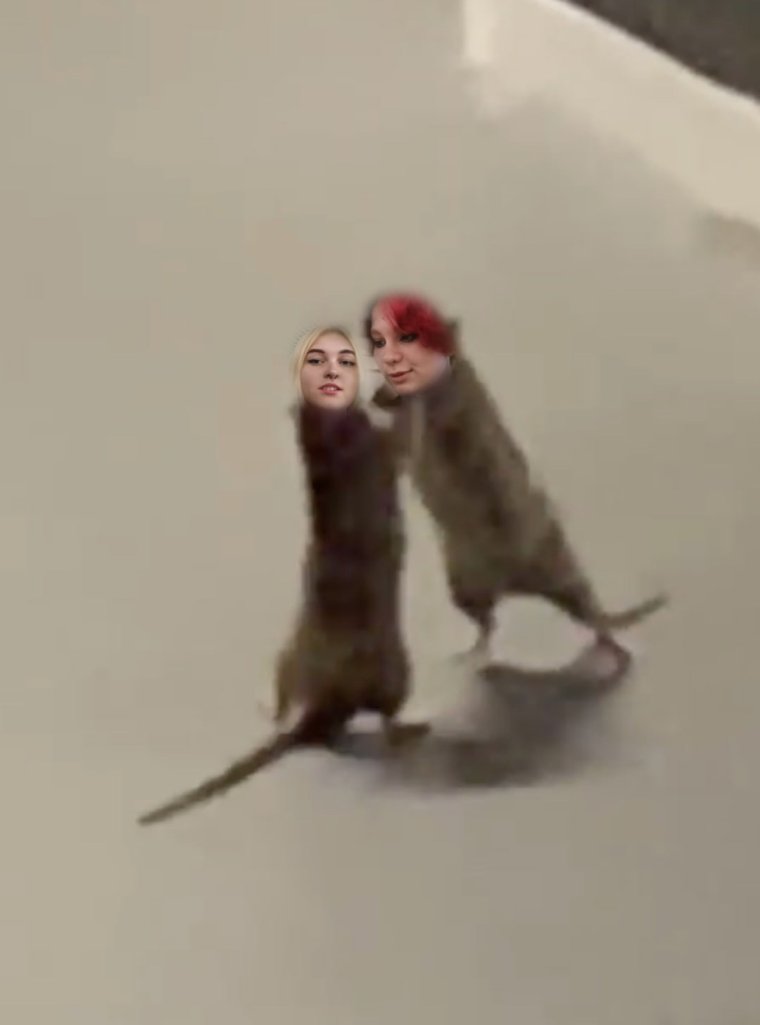 Крысы с музыкальными инструментами